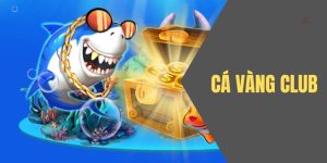 Dấn thân vào thế giới săn cá hấp dẫn cùng Cá Vàng Club tại Jun88