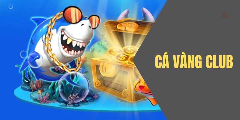 Dấn thân vào thế giới săn cá hấp dẫn cùng Cá Vàng Club tại Jun88