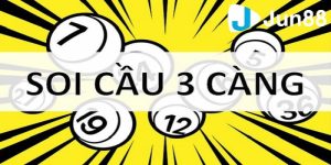 Cầu 3 càng là gì?