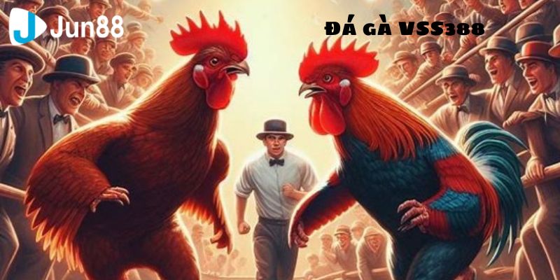 Đá gà SV388