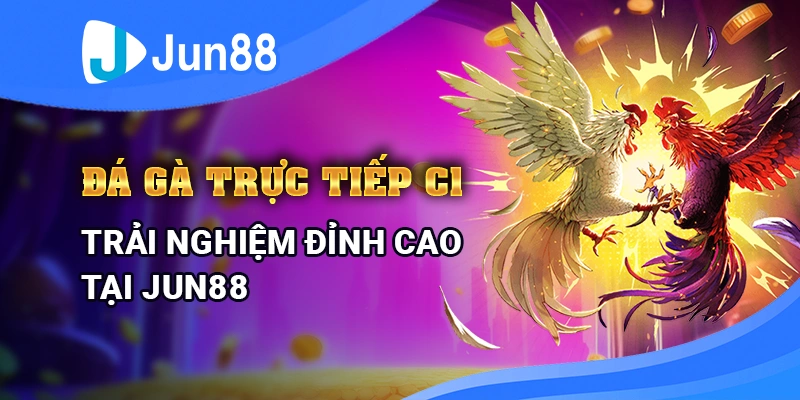 da-ga-truc-tiep-c1-trai-nghiem-dinh-cao-tai-jun88