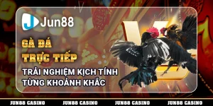 ga-da-truc-tiep-trai-nghiem-kich-tinh-tung-khoanh-khac