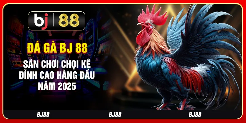 Đá Gà Bj 88 – Sân Chơi Chọi Kê Đỉnh Cao Hàng Đầu Năm 2025