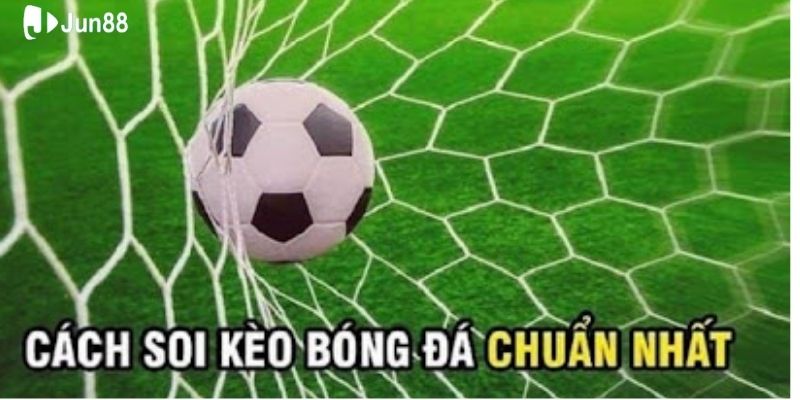 nghien-cuu-ky-thong-tin-tran-dau-la-cach-soi-keo-bong-da