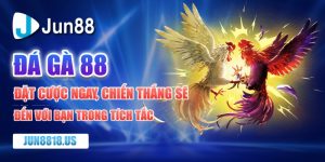 đá gà 88