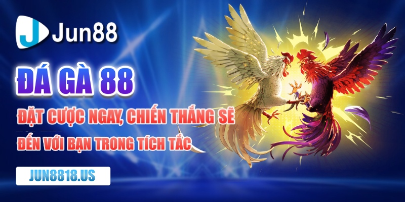 đá gà 88
