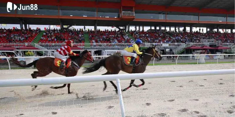 meo-thang-dua-ngua-uu-tien-dat-cuoc-nhung-con-ngua-co-kha-nang-thich-nghi-tot