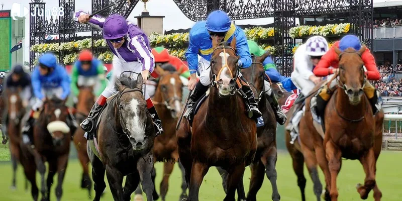 cuoc-thu-co-the-trai-nghiem-keo-cuoc-thoi-gian-hoan-thanh