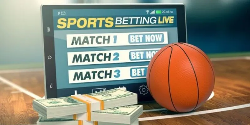 Khám phá các giải đấu bóng rổ thịnh hành