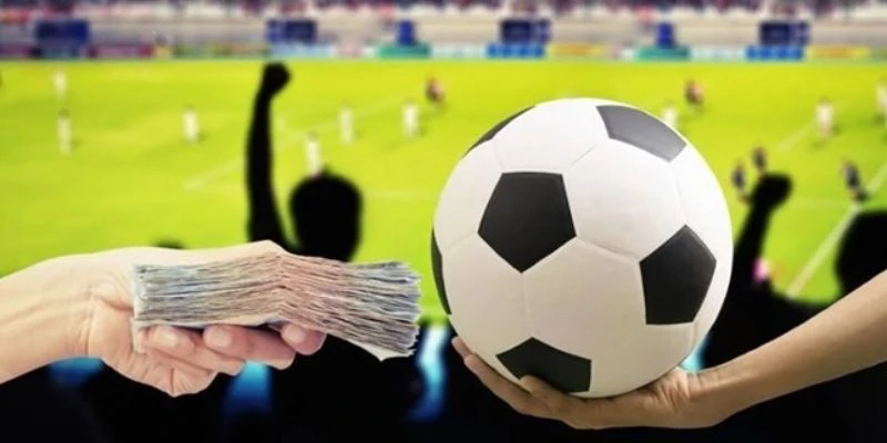 Bật mí mẹo đặt cược thể thao live cơ bản