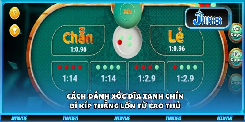 Cách đánh xóc đĩa xanh chín: Bí kíp thắng lớn từ cao thủ