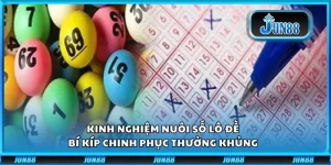Kinh nghiệm nuôi số lô đề: Bí kíp chinh phục thưởng khủng