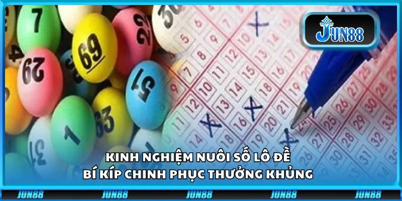 Kinh nghiệm nuôi số lô đề: Bí kíp chinh phục thưởng khủng